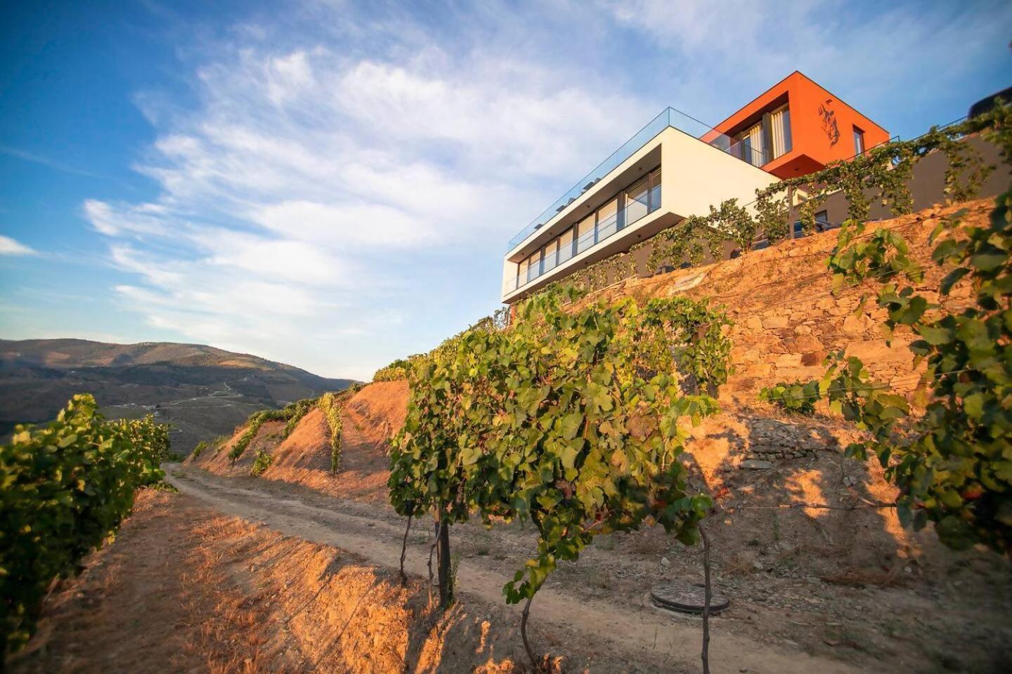 Quinta Vale De Lobos Bed and Breakfast Folgosa  Exteriör bild